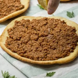 Carne picada vegetal de soja (500g/1k)